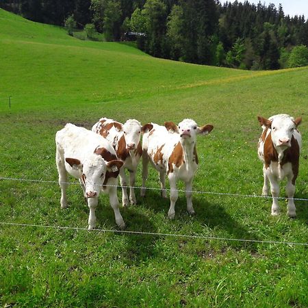 Bio-Bauernhof Niederlehen Villa Fieberbrunn Dış mekan fotoğraf