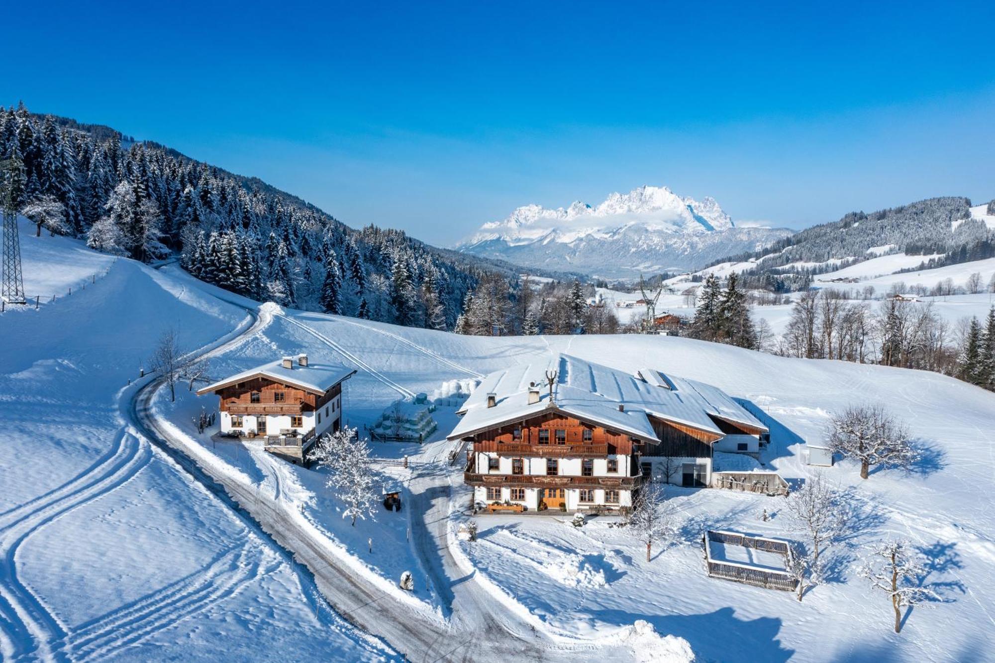 Bio-Bauernhof Niederlehen Villa Fieberbrunn Dış mekan fotoğraf