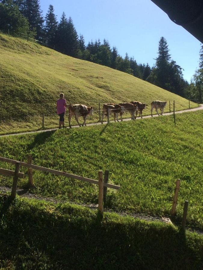 Bio-Bauernhof Niederlehen Villa Fieberbrunn Dış mekan fotoğraf